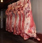HALAL FRESH / FROZEN GOAT / LAMB / SHEEP MEAT / CARCASS
