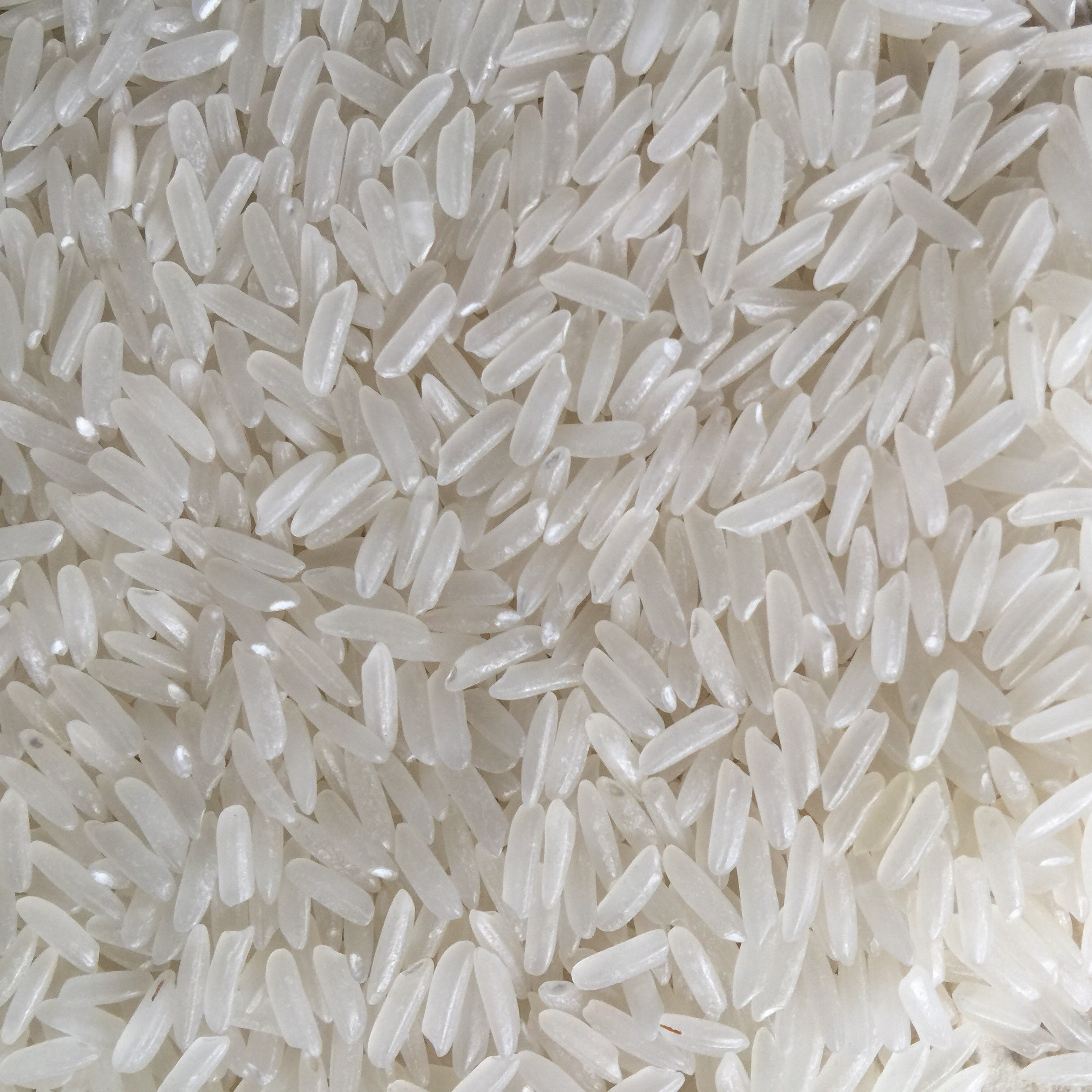 White Core Rice Buy Hard Texture And White Rice Kind Long Grain White Rice Available ...