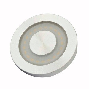 High Power RV/TRAILER/CARAVAN/BUS LED Ceiling Lights with Mount Ring