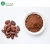 Import High quality cacao powder from China