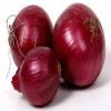 high quality cheap price fresh Indian red onion price 1 kg