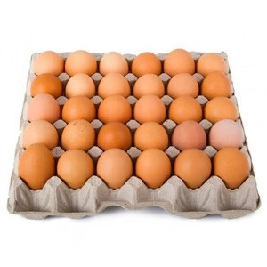 High Quality Fresh Chicken Eggs Ukraine FOR SALE