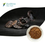 High Quality Lingzhi Mushroom /  Red Reishi Mushroom / Ganoderma  Extract