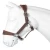 Import High Quality Low Price Horse nylon halter from India