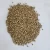 Import High Quality Natural Dry Coriander Seeds Price Wholesale from China