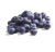 Import High quality sweet fresh frozen blueberries from China