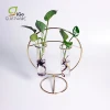 Home Decoration Flower Glass Tube Vase With Gold  Metal Stand