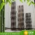 Import Hot rural style bamboo raw materials green garden chinese bamboo canes from China