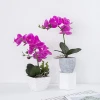 Hot sale artificial plastic orchid potting beautiful ornamental plants with cement flowerpot