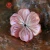 Import Hot Sale Multi-Color Special Carving Flower Natural Shell Price of Mother Of Pearl Shell from China