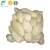 Import hot sale natural Fresh Potato peeled from China