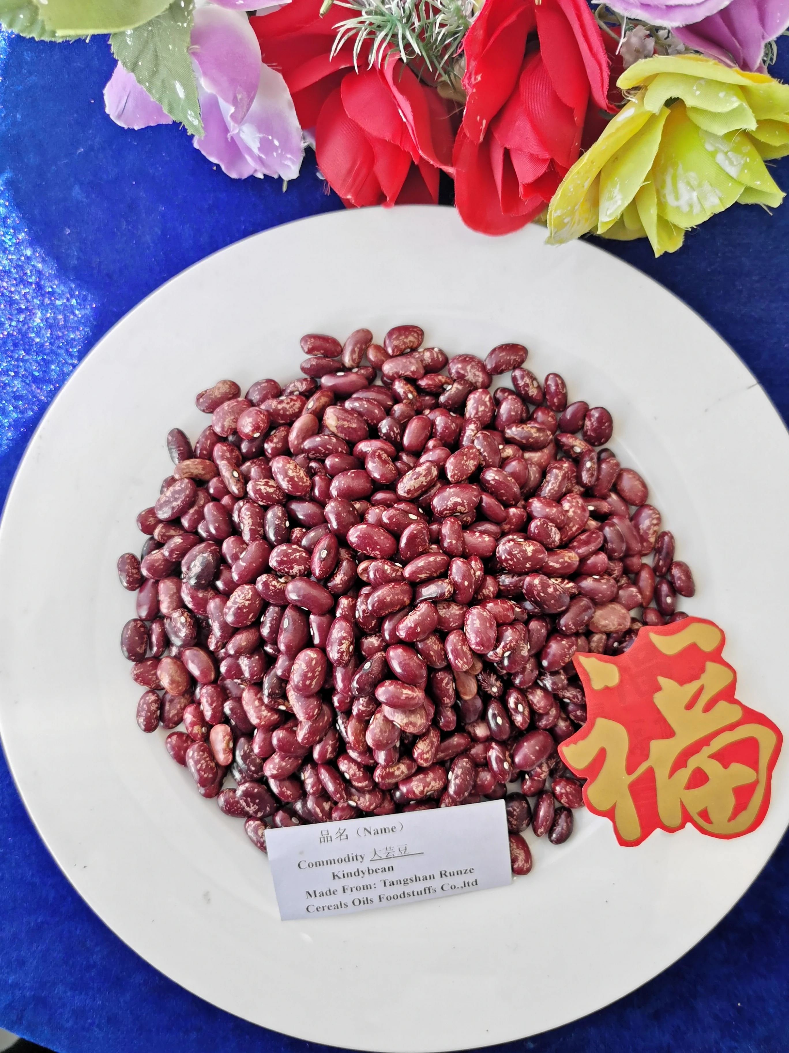 Hot Sale Pearl White Red Kidney Beans