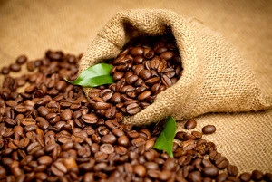 Hot Sales !  Best Quality Wholesale Roasted Arabica and Robusta Green Coffee Beans