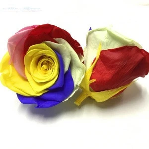 Hot sell flowers head five color and never die