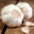 Import Hot selling 2020 fresh  normal white garlic high quality from China