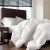 Hotel goose duck down duvet quilt wholesale home use bedding and luxury bed quilt/duvet/comforter
