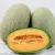 Import Hybrid F1 musk cantaloupe melon seeds for sale from China