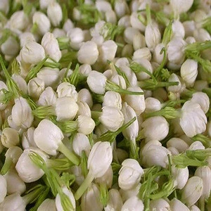 Indian Jasmine Flower export in Tamil Nadu/what&#39;s app no:+919626993222