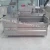 Import industrial fruit peeling machine/ fruit and vegetable washing machine from China