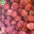 Import IQF Import greenhouse fruit frozen calibrated strawberry for specifications price per ton from China