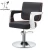 Import kingshadow hot sale gold color salon styling chair hair salon equipment from China