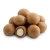 Import Macadamia Nuts With Shell/ Roasted Macadamia from Belgium