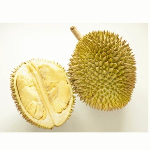 Malaysia Premium Quality Fresh White D24 Durian With Sweet Taste