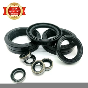 Manufacture FKM NBR Rubber Oil Seal High Temperature Shaft Seals Different Type Crankshaft Oil Seal For Gearbox