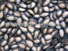 High Grade Common Black Melon Seeds Available in PP Woven Bags