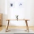 Import Modern wood dining table dining table modern from China