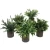 Import mothers day gift fake eucalyptus with flowerpot set home decoration potted green plant artificial house plants from China