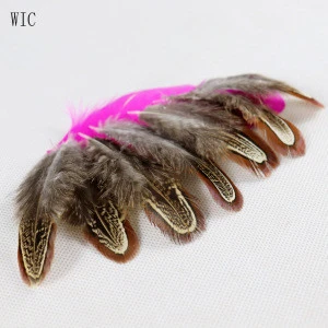 Natural color cheap wholesale Pheasant feather