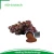 Import Natural GMP resveratrol grape seed extract from China