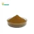 Import Natural Honeycomb Extract Bee Propolis Pure Bee Propolis Extract Powder in Bulk from China