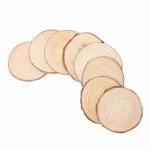 Natural Wood Pieces Slice Decorative Polished Wood Slices
