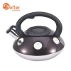 New Colorful Whistling Kettle Stainless Steel Water Kettle with Bakelite Handle