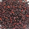 New crop dark red kidney bean for sale