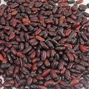 New crop dark red kidney bean for sale