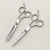 Import New Fashion Salon Barber professional 6.5inch hair clipper hair cutting scissors from China