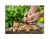 Import New Harvest High Quality Potato from Vietnam Farm! Fresh Sweet Potato Wholesale Price! EU Export Vegetable Potato from Vietnam