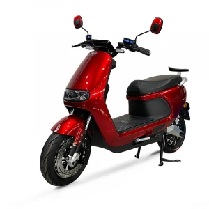 New style 250w delivery e bike electric moped scooters bicycle with pedal for adult