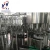 Import New Style 5.5kW customized apple juice glass bottle filling machine carbonated drink for sale from China