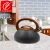 Import New Style Stainless Steel Quick Water Boiling Tea Whistling Kettle With Soft-Touch Handle from China