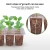 Import Nursery Pot Tray Seedling Propagation Tray Flower Grow Box Succulent Garden Vegetable Seed 12 Cells from China
