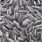 organic high Sunflower Seed kernels for sale