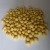Import Organic Soybean Seeds/Soyabean Seeds from India at Affordable Price from India