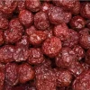 Organic Winter Date New Arrival Chinese Dried Fruit Dry Certified Jujube Red Dates