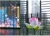 Import P10 cheap transparent led screen display,glass led transparent video wall from China