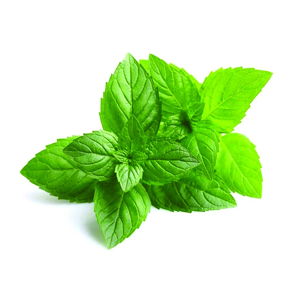 PEPPERMINT SERUM HAIR SPAY HELP SMOOTH SILKY HIGH QUALITY AND GOOD PRICE FROM VIETNAM