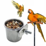 Pet Bird Feeder Bowl Love Squirrel Echo Bird Feeder Station Stainless Steel